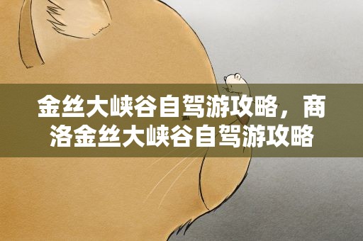 金丝大峡谷自驾游攻略，商洛金丝大峡谷自驾游攻略