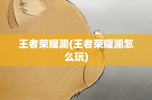 王者荣耀澜(王者荣耀澜怎么玩)