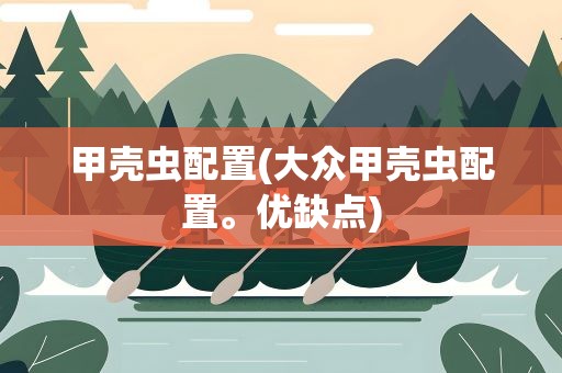 甲壳虫配置(大众甲壳虫配置。优缺点)
