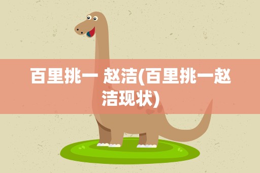 百里挑一 赵洁(百里挑一赵洁现状)