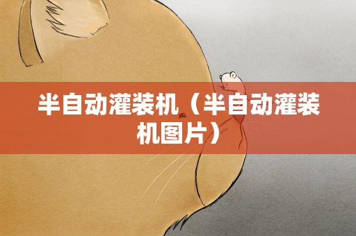 半自动灌装机（半自动灌装机图片）