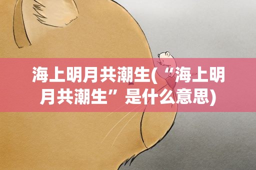 海上明月共潮生(“海上明月共潮生”是什么意思)