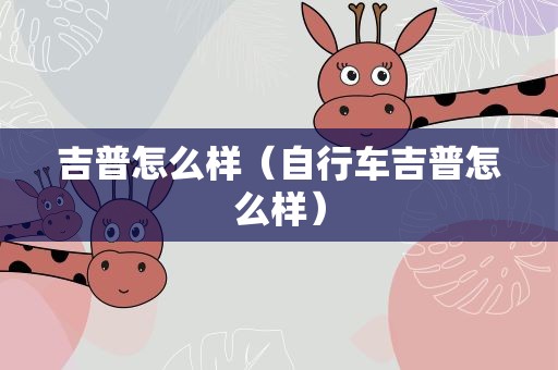 吉普怎么样（自行车吉普怎么样）