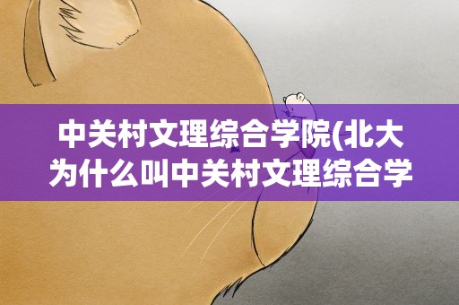 中关村文理综合学院(北大为什么叫中关村文理综合学院)