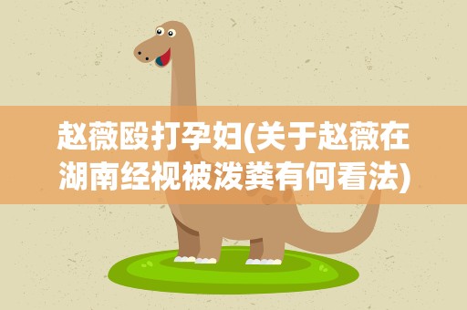 赵薇殴打孕妇(关于赵薇在湖南经视被泼粪有何看法)