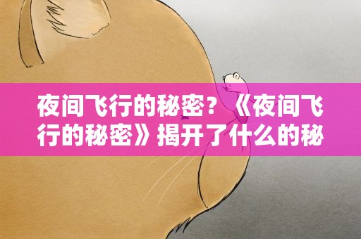 夜间飞行的秘密？《夜间飞行的秘密》揭开了什么的秘密