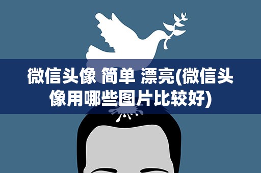 微信头像 简单 漂亮(微信头像用哪些图片比较好)
