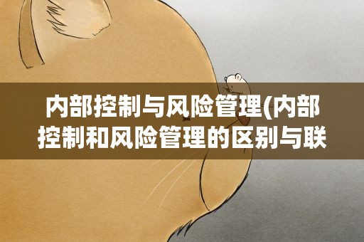 内部控制与风险管理(内部控制和风险管理的区别与联系是什么)