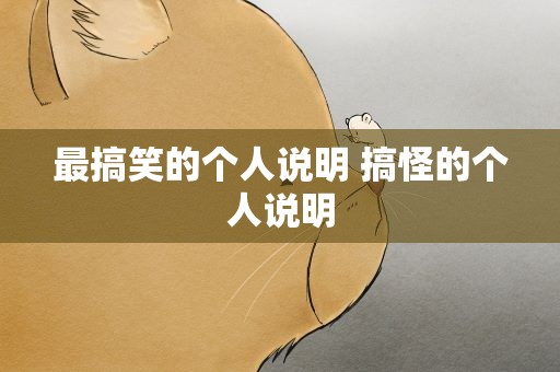 最搞笑的个人说明 搞怪的个人说明