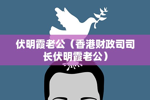 伏明霞老公（香港财政司司长伏明霞老公）