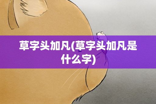 草字头加凡(草字头加凡是什么字)