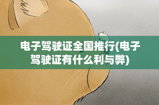 电子驾驶证全国推行(电子驾驶证有什么利与弊)