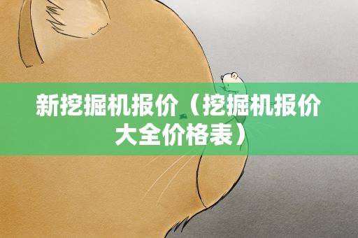 新挖掘机报价（挖掘机报价大全价格表）