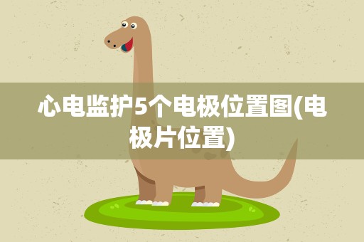 心电监护5个电极位置图(电极片位置)