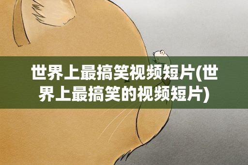世界上最搞笑视频短片(世界上最搞笑的视频短片)