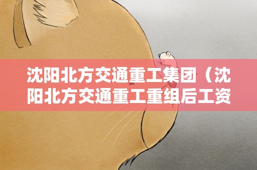 沈阳北方交通重工集团（沈阳北方交通重工重组后工资）