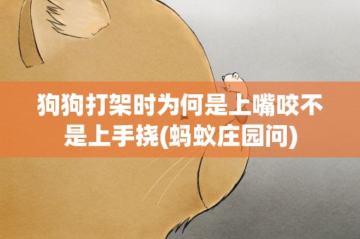 狗狗打架时为何是上嘴咬不是上手挠(蚂蚁庄园问)