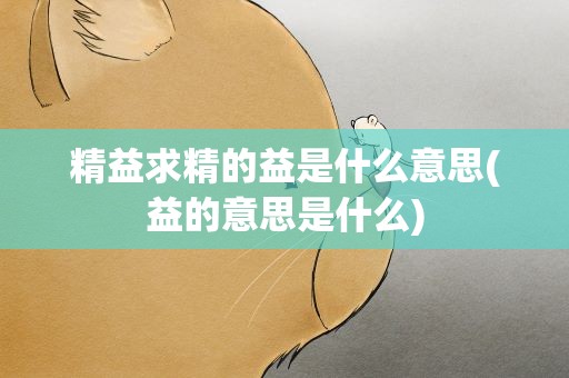 精益求精的益是什么意思(益的意思是什么)