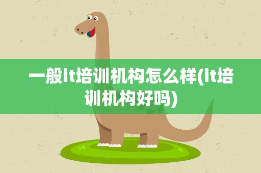 一般it培训机构怎么样(it培训机构好吗)