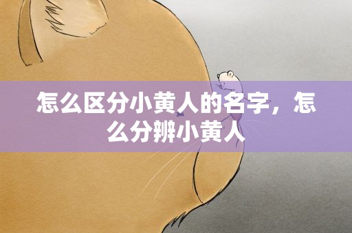 怎么区分小黄人的名字，怎么分辨小黄人
