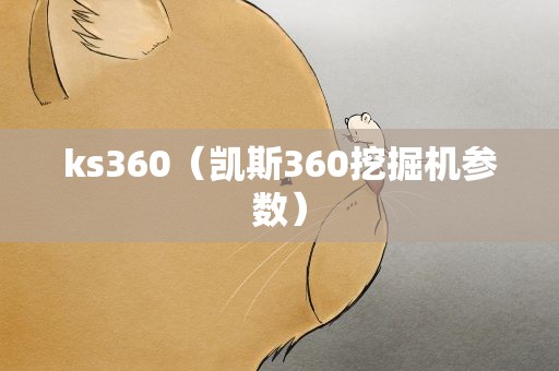 ks360（凯斯360挖掘机参数）