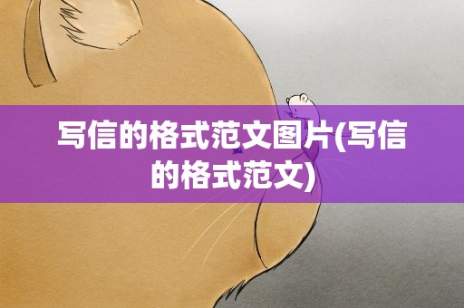 写信的格式范文图片(写信的格式范文)
