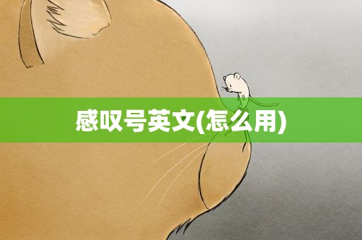 感叹号英文(怎么用)