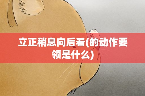 立正稍息向后看(的动作要领是什么)