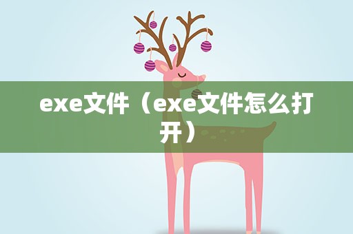 exe文件（exe文件怎么打开）