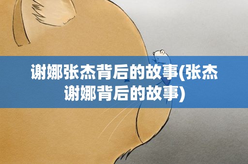 谢娜张杰背后的故事(张杰谢娜背后的故事)