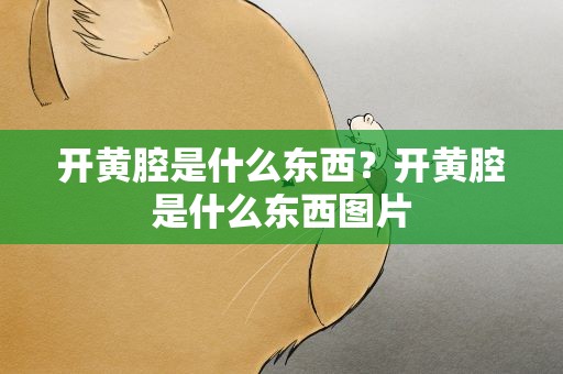 开黄腔是什么东西？开黄腔是什么东西图片
