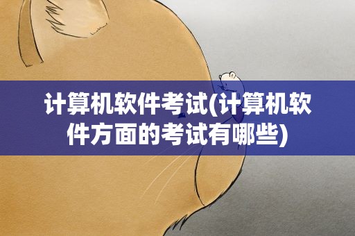 计算机软件考试(计算机软件方面的考试有哪些)