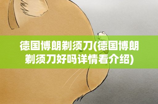 德国博朗剃须刀(德国博朗剃须刀好吗详情看介绍)