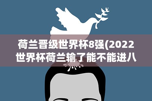 荷兰晋级世界杯8强(2022世界杯荷兰输了能不能进八强)