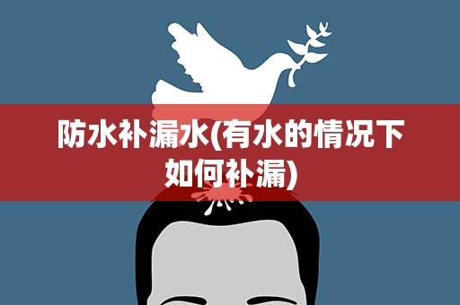 防水补漏水(有水的情况下如何补漏)