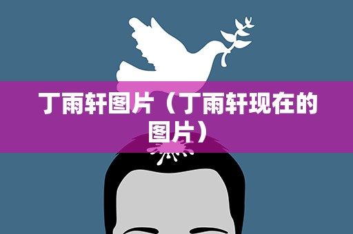 丁雨轩图片（丁雨轩现在的图片）