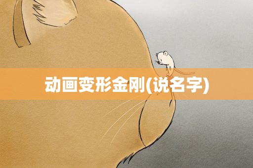 动画变形金刚(说名字)