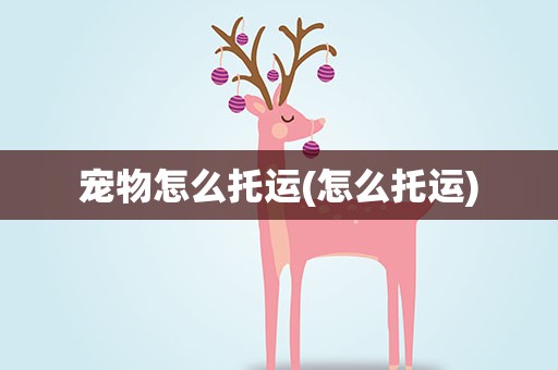 宠物怎么托运(怎么托运)