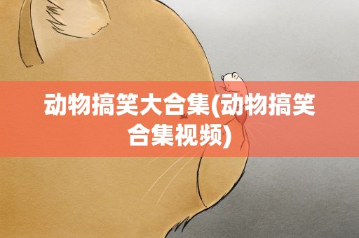 动物搞笑大合集(动物搞笑合集视频)