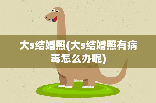 大s结婚照(大s结婚照有病毒怎么办呢)