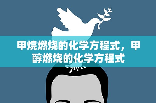 甲烷燃烧的化学方程式，甲醇燃烧的化学方程式