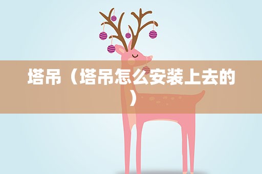 塔吊（塔吊怎么安装上去的）