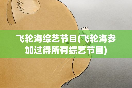 飞轮海综艺节目(飞轮海参加过得所有综艺节目)