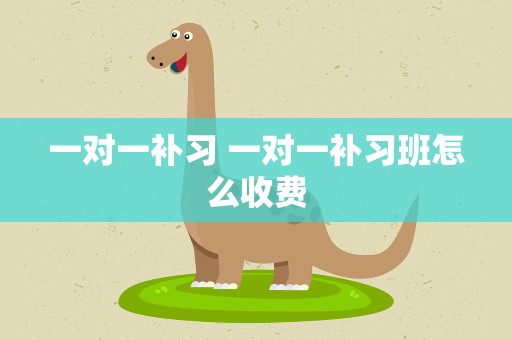 一对一补习 一对一补习班怎么收费