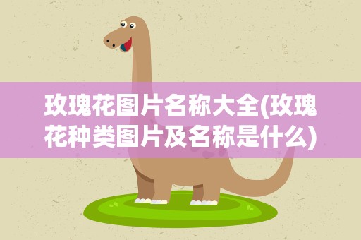 玫瑰花图片名称大全(玫瑰花种类图片及名称是什么)