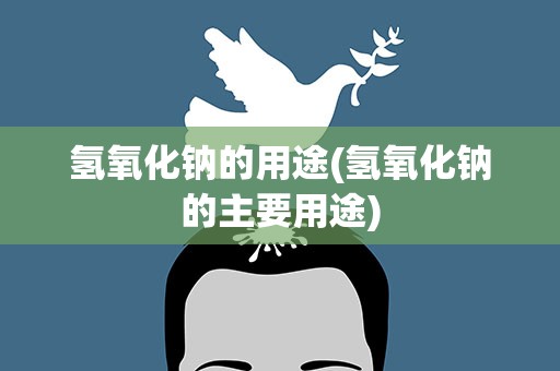 氢氧化钠的用途(氢氧化钠的主要用途)