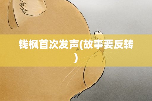 钱枫首次发声(故事要反转)