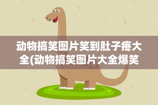 动物搞笑图片笑到肚子疼大全(动物搞笑图片大全爆笑)