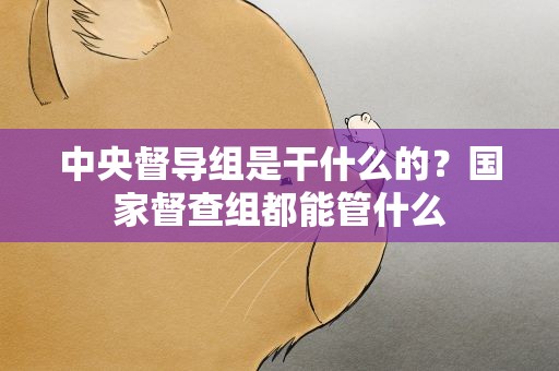 中央督导组是干什么的？国家督查组都能管什么