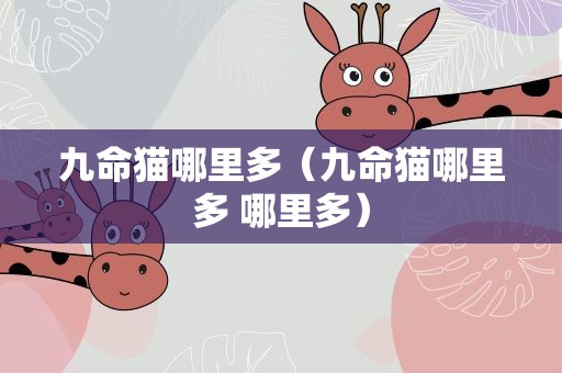 九命猫哪里多（九命猫哪里多 哪里多）